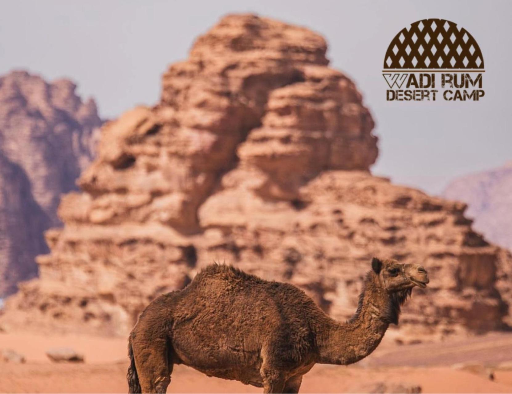 Rum Mere Luxury Camp Wadi Rum Exterior foto